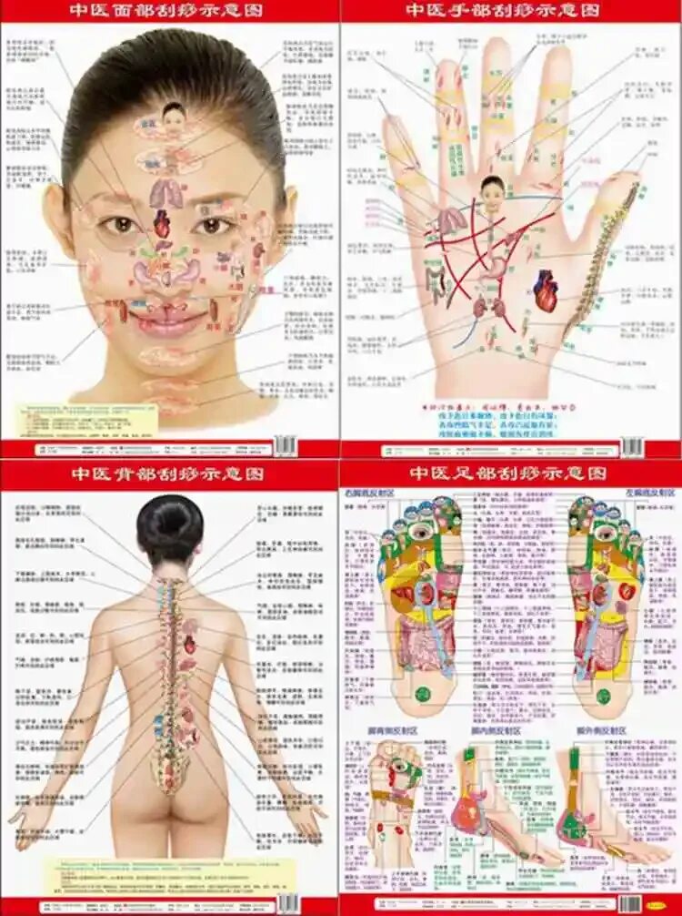 Акупунктурные точки на теле человека фото 4 Charts of Reflection Zone Charts Hand, Foot, Facial, Spine. home health care m