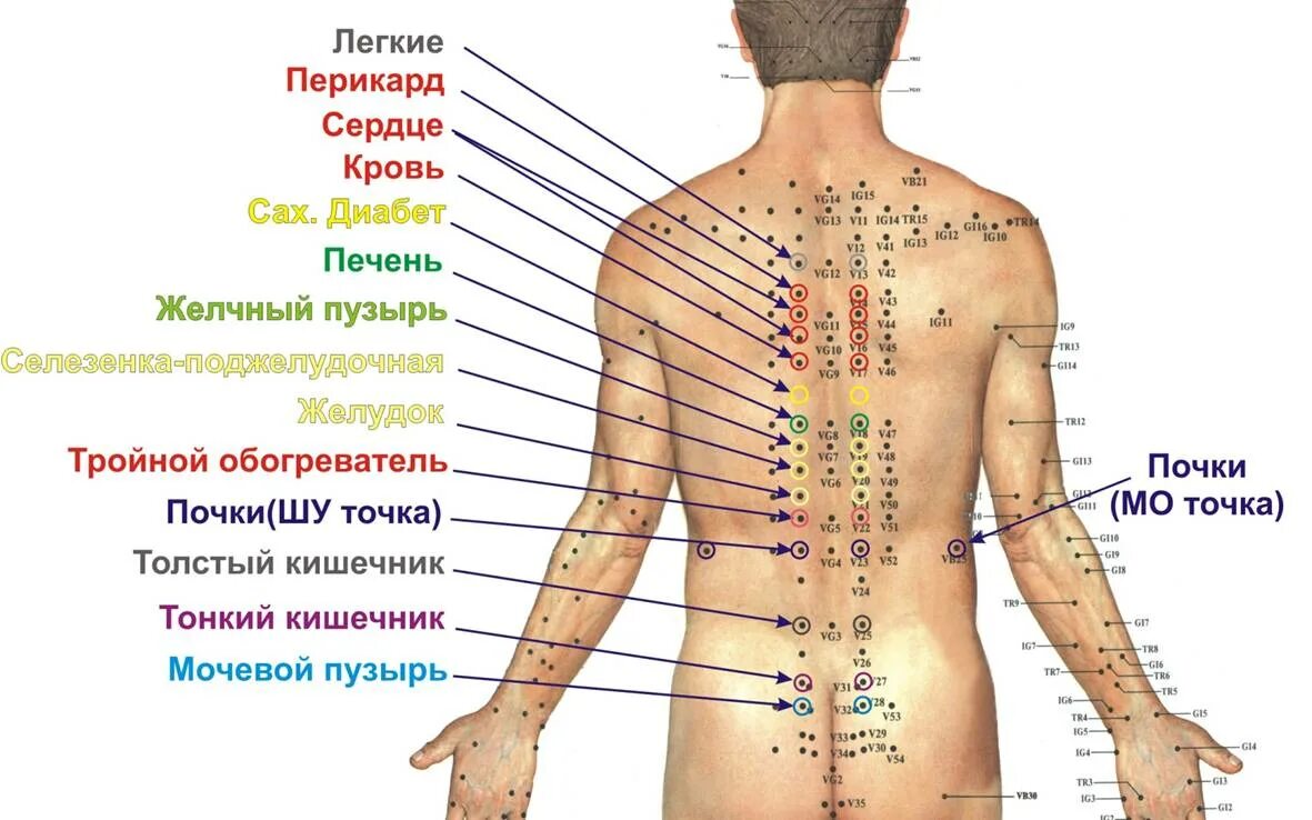 Акупунктурные точки на теле человека фото Что и за что отвечает Арго Пермь