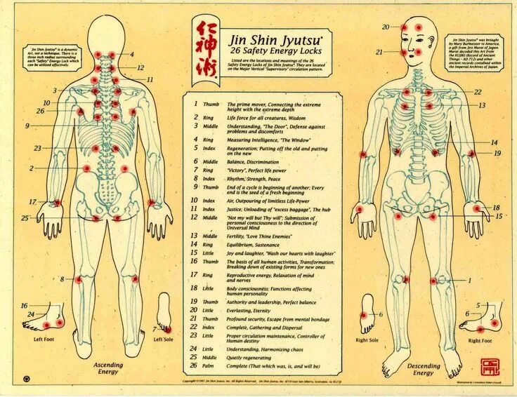 Акупунктурные точки на теле человека фото jin shin jyutsu information Puntos de acupresión, Acupresión, El arte de la feli