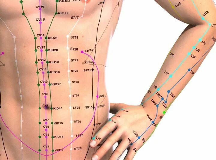 Акупунктурные точки на теле человека фото Pin on Acupuncture