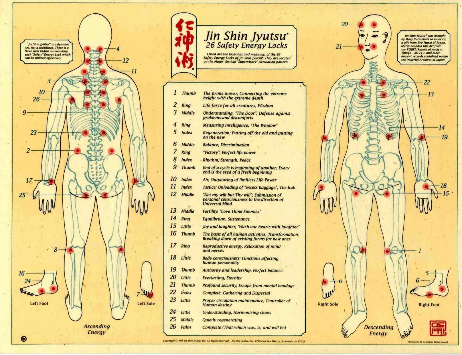 Акупунктурные точки на теле человека схема расположения jin shin jyutsu information Acupression, Acuponcture, Respiration abdominale