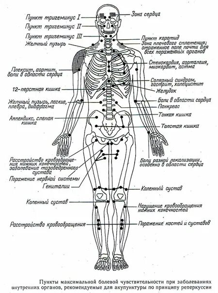 Акупунктурные точки на теле человека схема расположения Точки на теле человека описание: найдено 89 изображений