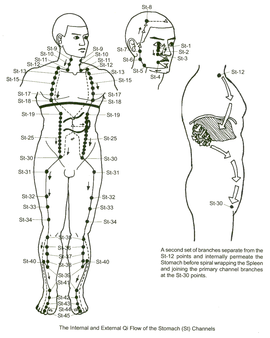 Акупунктурные точки схема расположения Stomach Meridian Agopuntura, Riflessologia, Massaggio