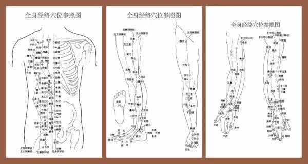 Акупунктурные точки схема расположения Pontos do corpo de acupuntura meridianos a Figura Técnicas de massagem, Acupuntu