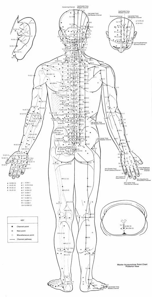 Акупунктурные точки схема расположения Here you can see all of the different points and the meridians that the speciali