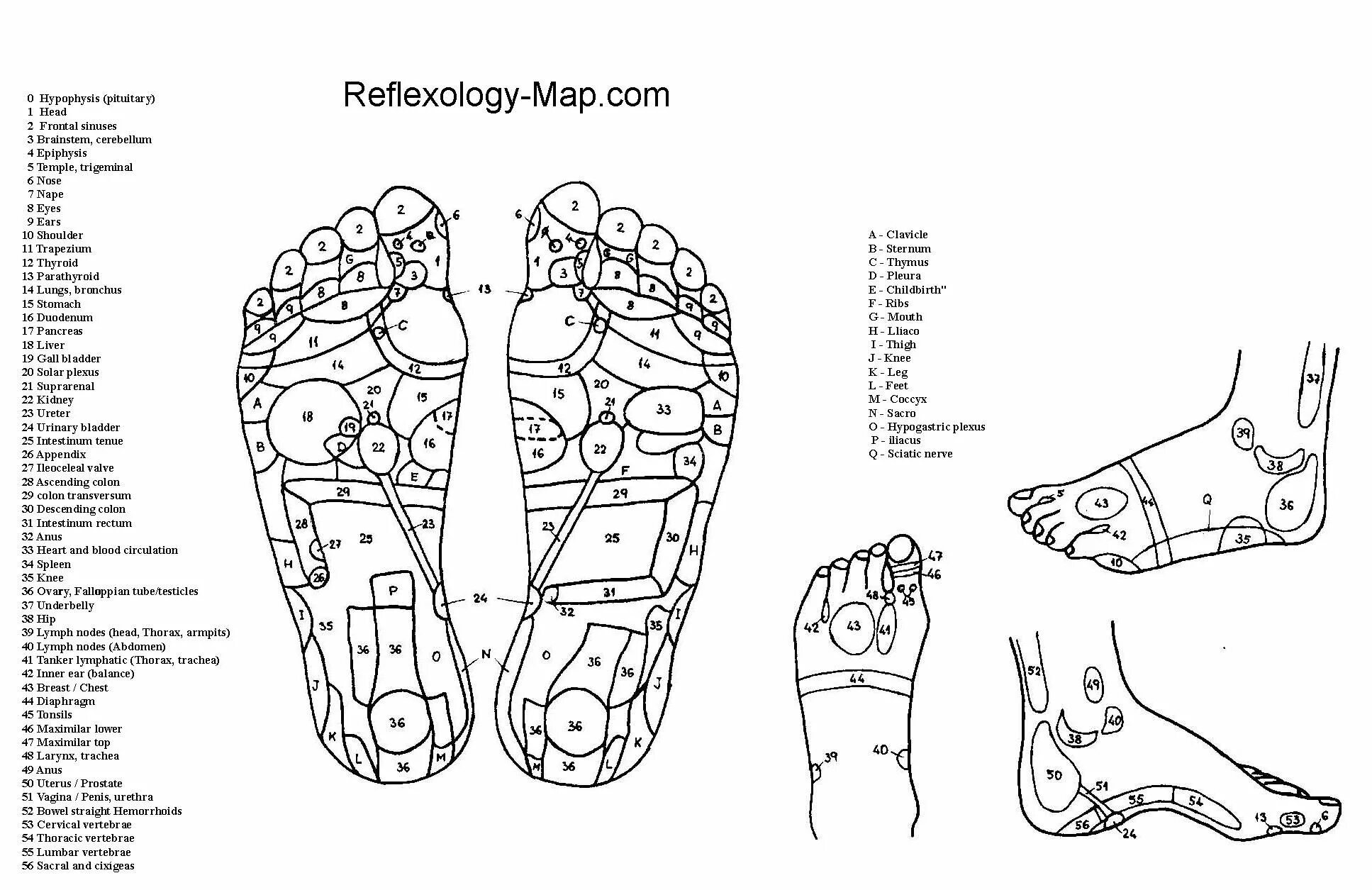 Акупунктурные точки стопы схема расположения picture of reflexology feet - Google Search Reflexology chart, Foot reflexology,