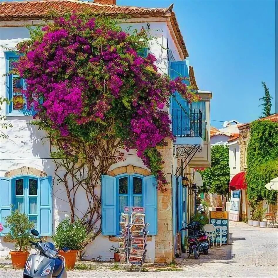 Алачаты турция фото Alaçatı, İzmir Seyahat, Evler, Doğal