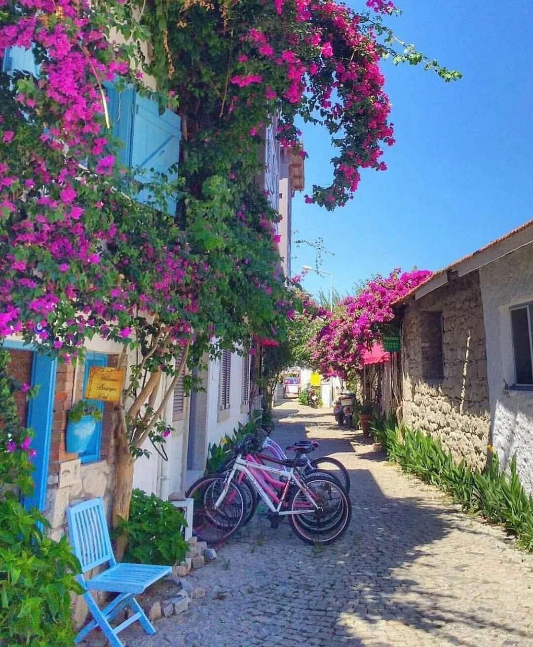 Алачаты турция фото 405 Beğenme, 5 Yorum - Instagram&#39;da Alaçatı (@alacatiasigi): "@minogian