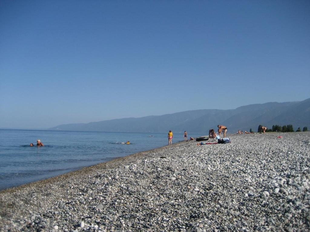 Алахадзе фото поселка Гостевой дом Лукоморье, Пицунда, Абхазия 101Hotels.com