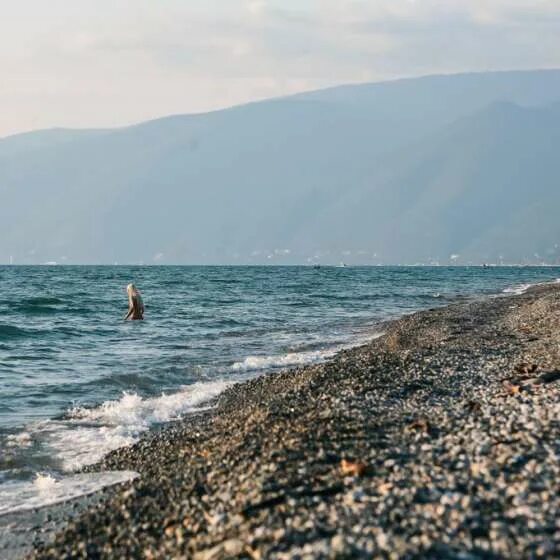 Алахадзы абхазия фото поселка и пляжа Снять дом с видом на горы в Алахадзы Цены на аренду коттеджей на сутки без посре