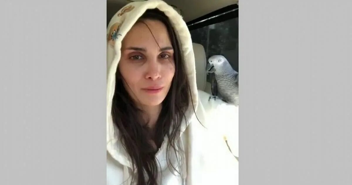 Алана мамаева фото до и после Жена хавбека ФК "Краснодар" Алана Мамаева рассказала, как нашла улетевшего попуг