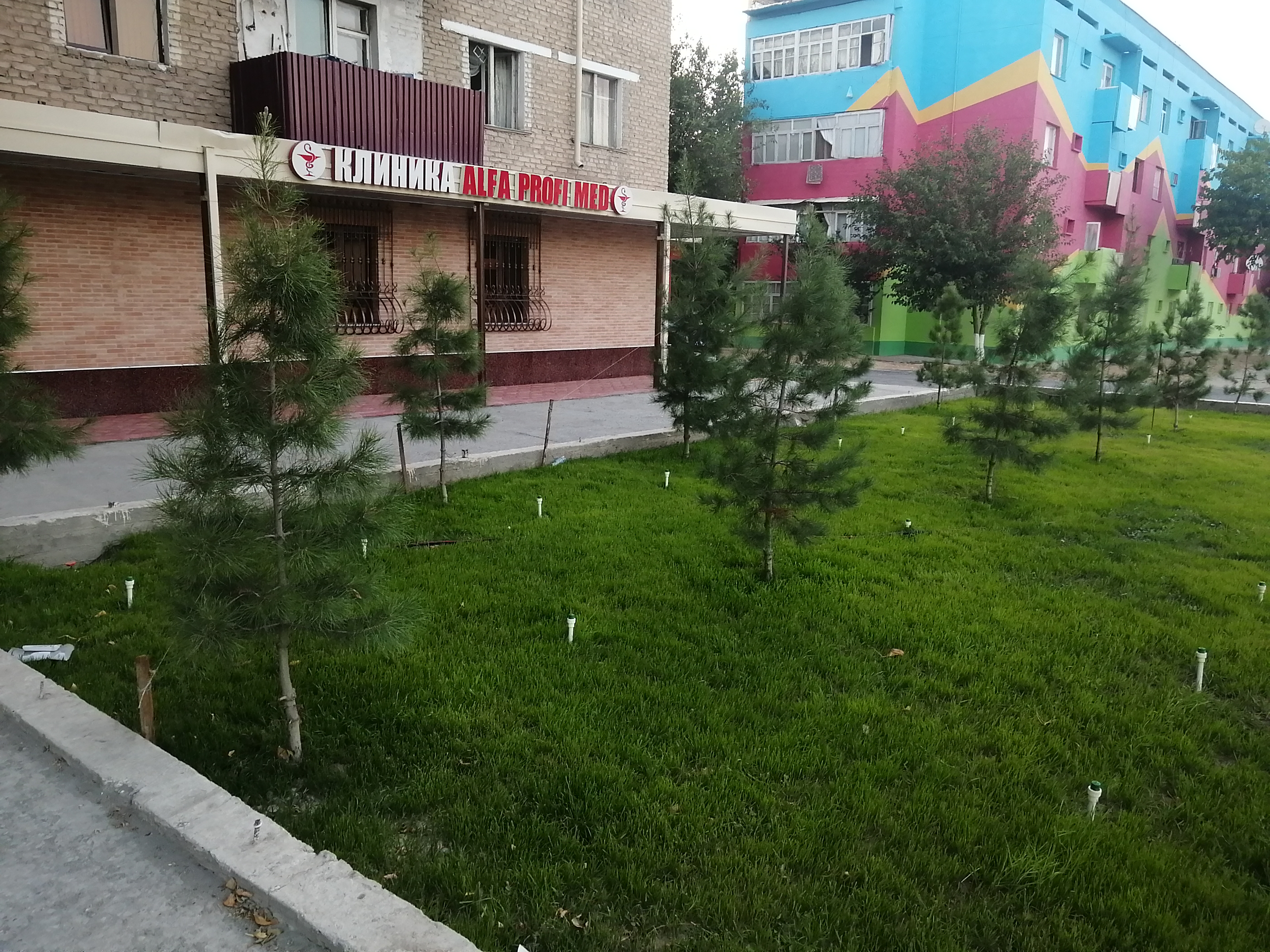 Аледа клиник заводская ул 28 фото Alfa Profi Med, медцентр, клиника, Заводская ул., 5, поселок Кимёгарлар - Яндекс