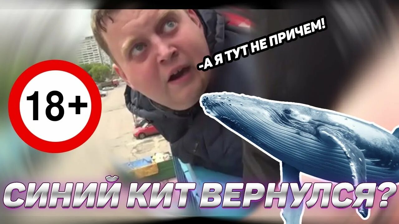 Александр глазов синий кит фото СИНИЙ КИТ ВЕРНУЛСЯ? ЖИРНЫЙ КУРАТОР ЧУТЬ НЕ УБИЛ ДЕВОЧКУ! - YouTube