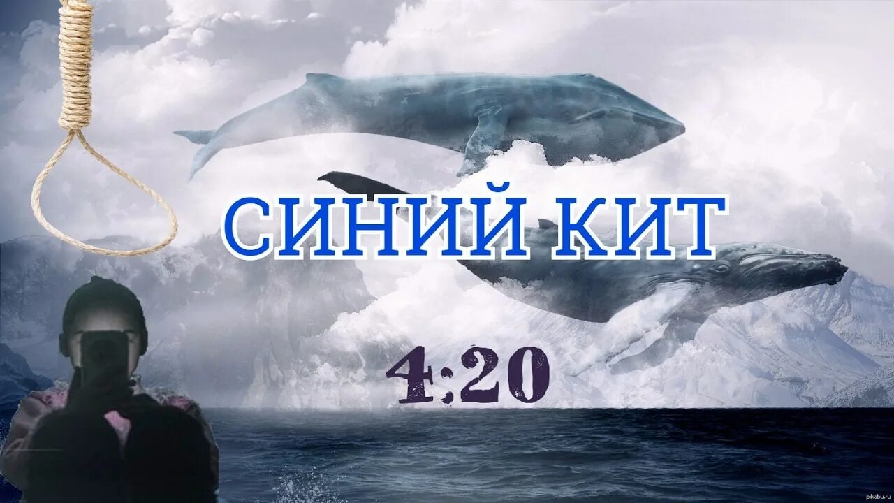Александр глазов синий кит фото Смертельные детские игры - ЕлицыМедиа