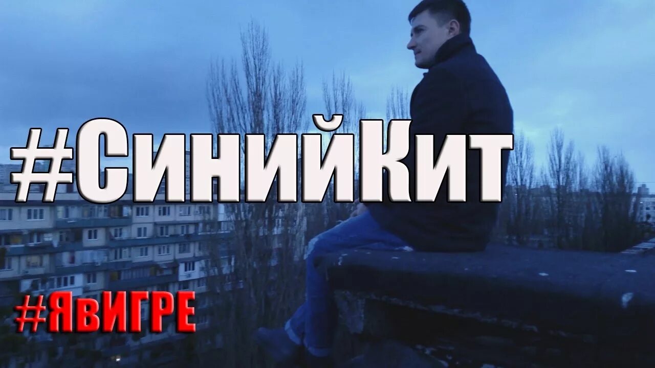 Александр глазов синий кит фото Игра или реальность? - Городокская центральная районная больница