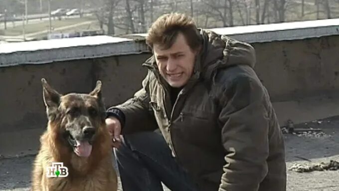 Александр волков актер возвращение мухтара фото Александр Волков из "Возвращение Мухтара". Почему редко появляется на экрана и ч