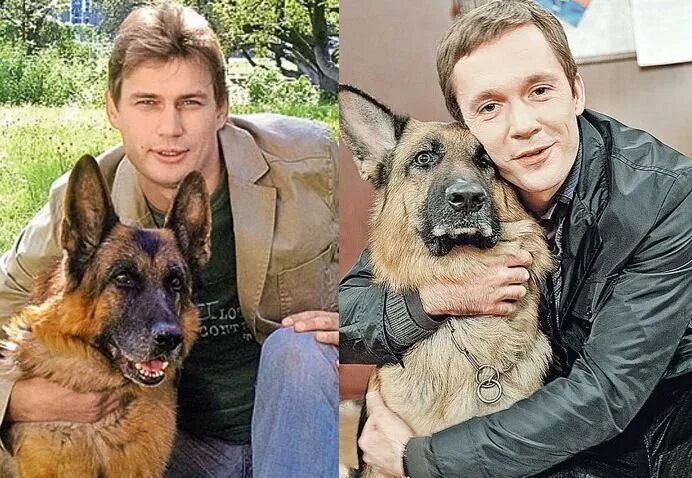 Александр волков актер возвращение мухтара фото Главный актеров возвращение мухтара: найдено 90 картинок