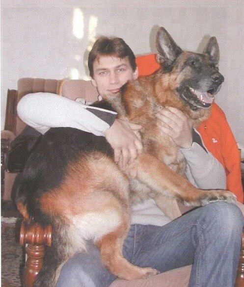 Александр волков возвращение мухтара 2 фото АЛЕКСАНДР ВОЛКОВ - Фотография 13 из 149 ВКонтакте