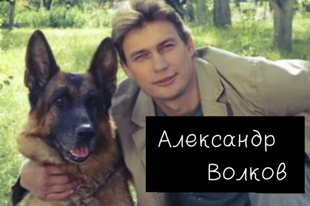 Александр волков возвращение мухтара фото Максим Жаров-Александр Волков - Фотография 7 из 80 ВКонтакте