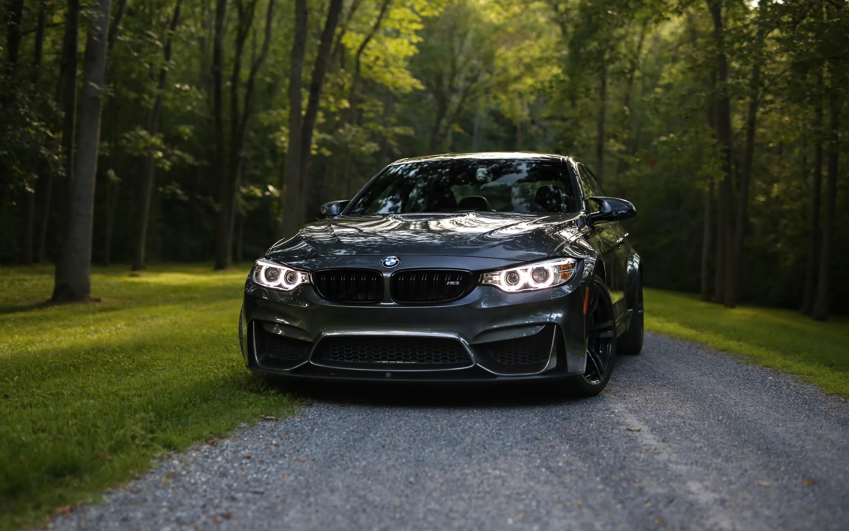 Качественные фото бмв Скачать обои BMW, Bavaria, Gray, F82, раздел bmw в разрешении 2880x1800