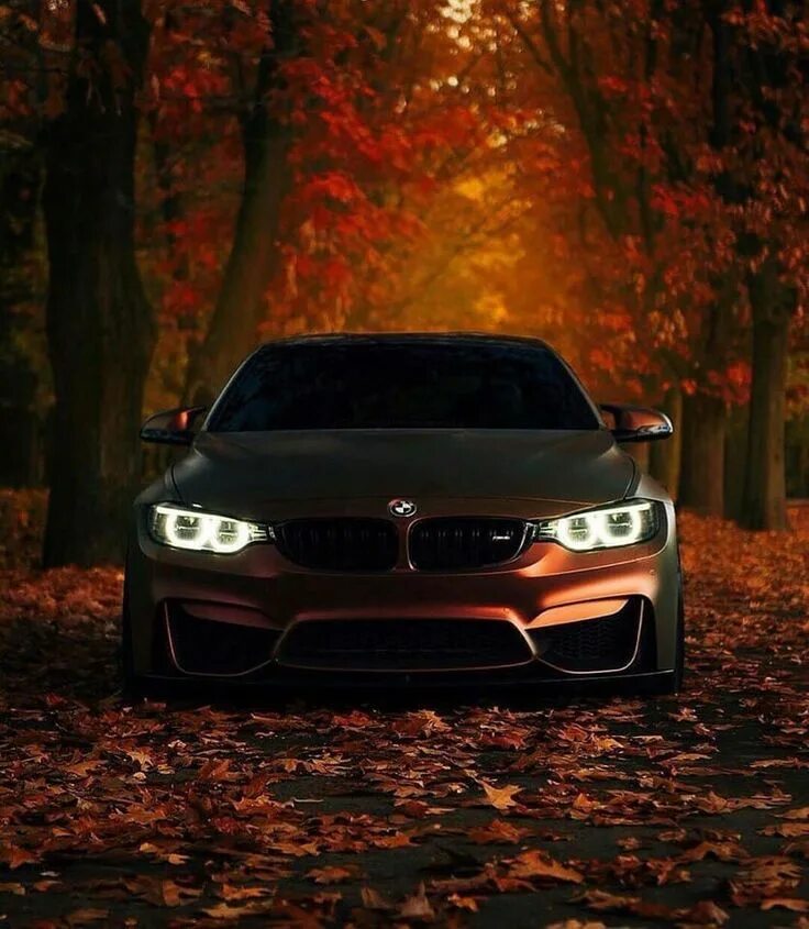 Качественные фото бмв #бмв #бмвм5 #бмвх5 #бмв7 #бмв5 #бмв3 #бмвм6 #bmw #m #мерседес #мерс #машина... B