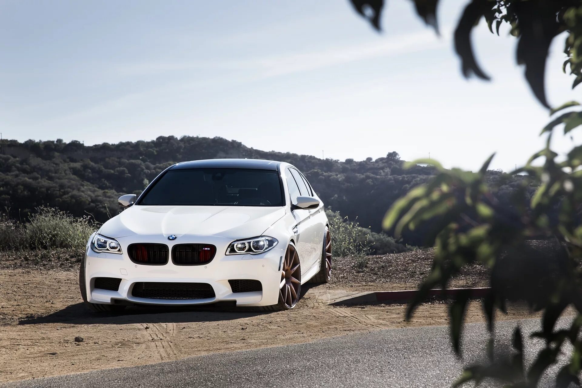Качественные фото бмв Скачать обои белый, листья, bmw, бмв, white, вид спереди, f10, раздел bmw в разр
