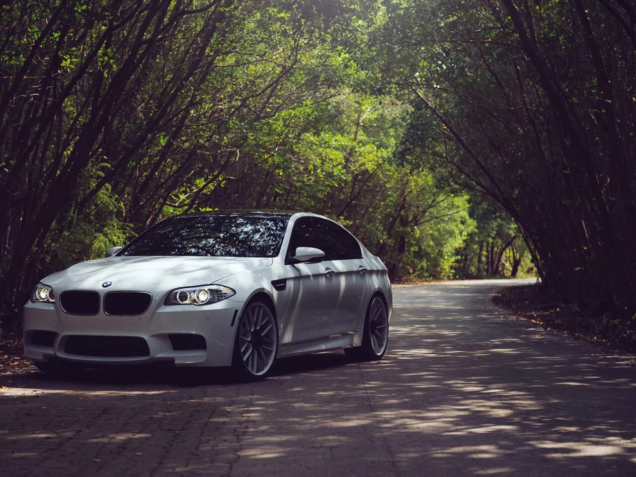 Качественные фото бмв Скачать обои Дорога, Белый, BMW, БМВ, White, F10, раздел bmw в разрешении 1280x9