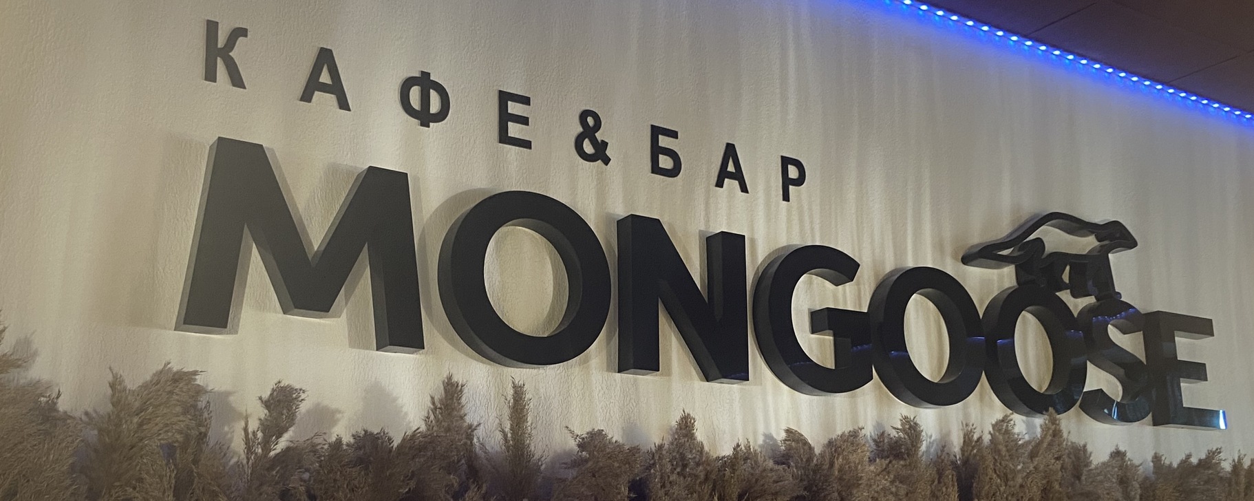 Кафе бар mongoose ул республики 1б фото КАФЕ&БАР "MONGOOSE" График работы: Пн-Вт - ВЫХОДНОЙ Ср - Чт с 16:00 до 02:00 Пт-