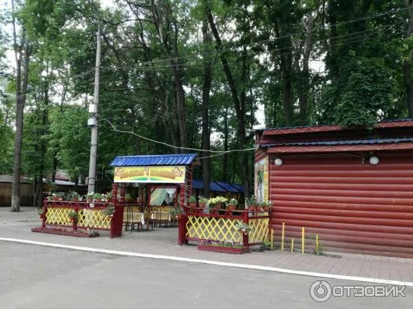 Кафе панорама автозаводский парк нижний новгород фото Отзыв о Автозаводский парк культуры и отдыха (Россия, Нижний Новгород) Зеленый у
