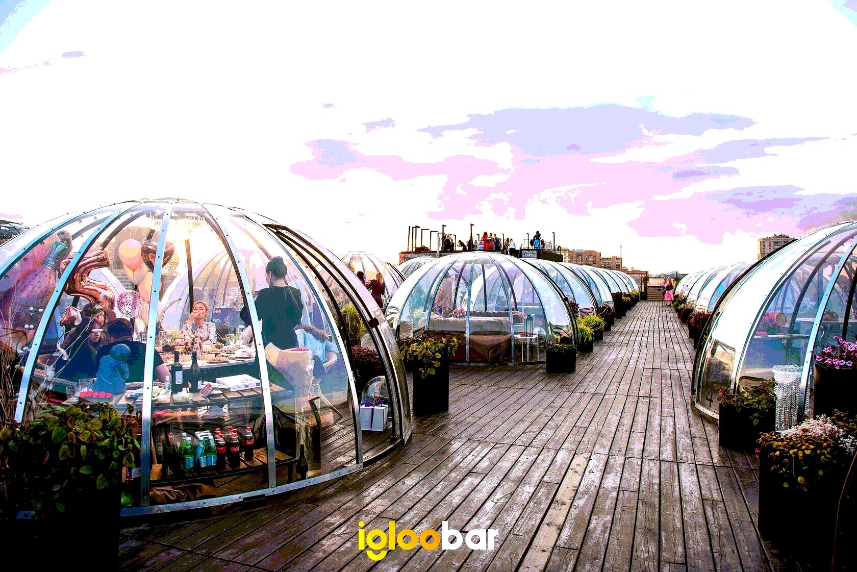 Кафе пузыри в кудрово фото Меню в Igloobar - ресторане-куполе на крыше