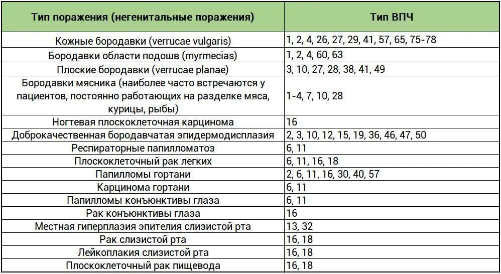Кандилома вирус у женщин лечение фото таблетки Впч 45 типа что это