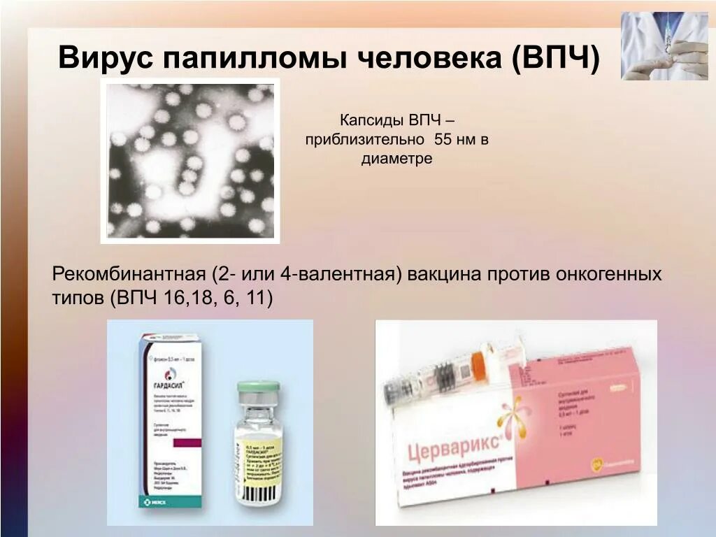 Кандилома вирус у женщин лечение фото таблетки Впч иммунитет - найдено 85 картинок
