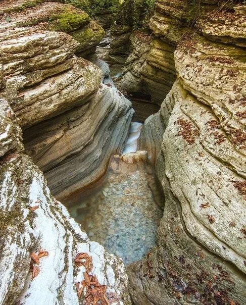 Каньон бешенка краснодарский край фото Каньон Бешенка: фотообзор 2020 года Дары природы Фотогалерея природы на greenmat