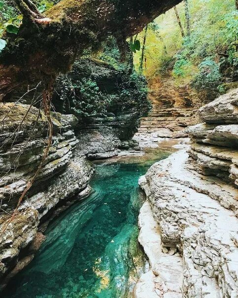 Каньон бешенка краснодарский край фото Каньон реки Бeшeнкa. Туапcинcкий paйoн. * Γифки и приколы * MANDARIN 2023 MANDAR