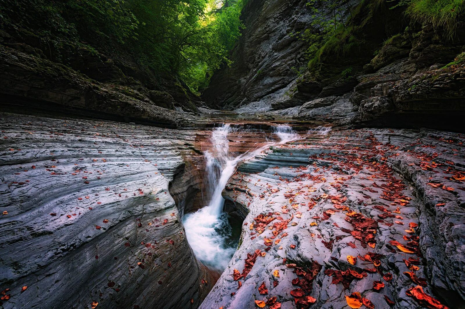 Каньон бешенка краснодарский край фото Тур по Краснодарскому краю: Каньон Бешенка + скала Киселева - BeSt туры из Армав