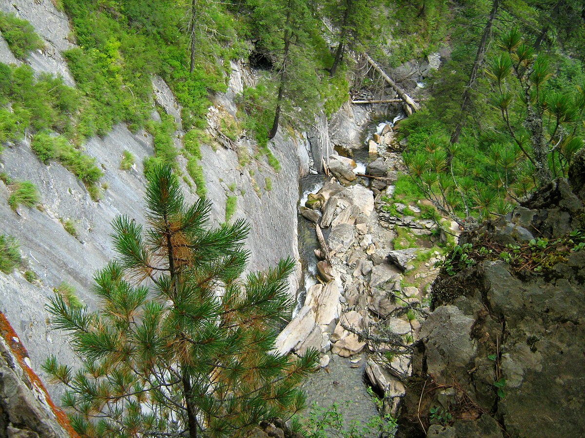 Каньон лесная ул 5 поселок водопадный фото File:Ущелье водопада Йог.jpg - Wikimedia Commons