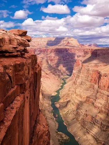 Каньон реки колорадо фото Grand Canyon National Park, Toroweap Overlook, White Puffies Grand canyon nation