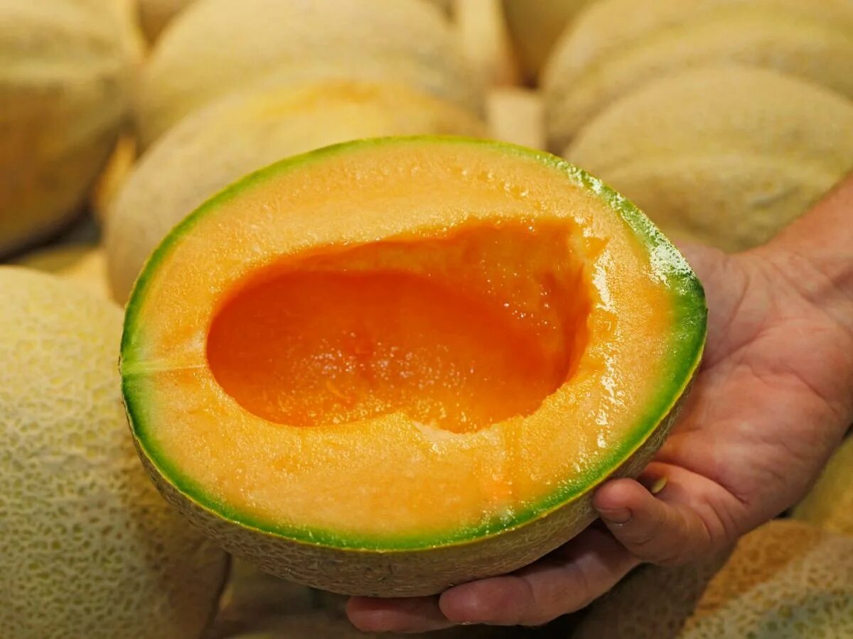 Канталупа что это за фрукт фото A salmonella outbreak tied to cantaloupe has sickened people in 32 states and ki