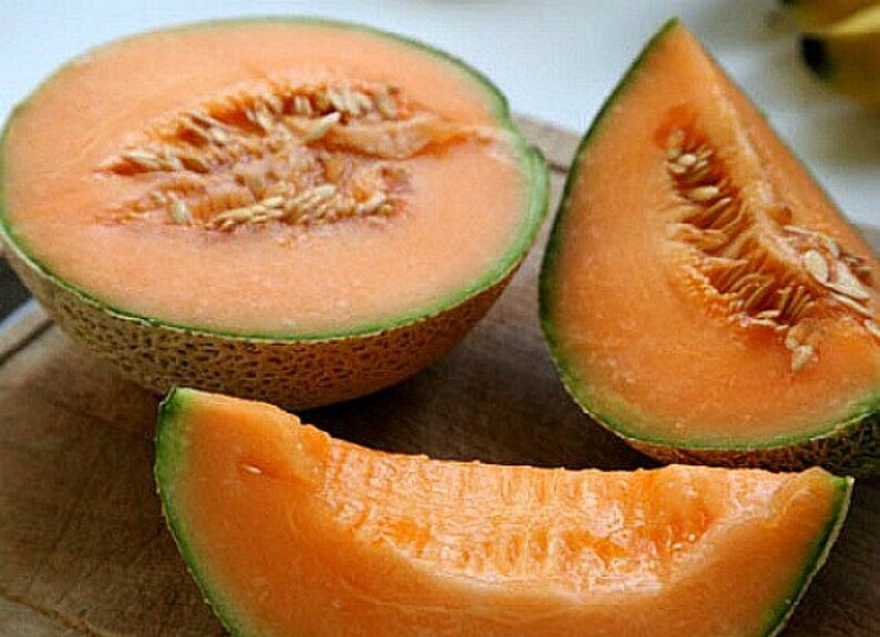 Канталупа что это за фрукт фото Minnesota Midget Heirloom Melon 10 Seeds Super Sweet Fruit Etsy