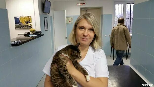 Кантривет ул дружбы 8 поселок внииссок фото KantryVet, veterinary clinic, Settlement of Vniissok, ulitsa Druzhby, 8 - Yandex