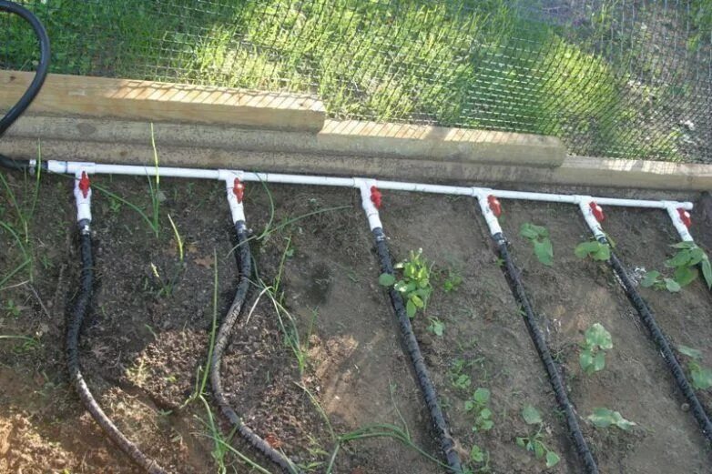 Капельная система фото Идеи капельного полива для дачи своими руками Garden watering system, Garden irr