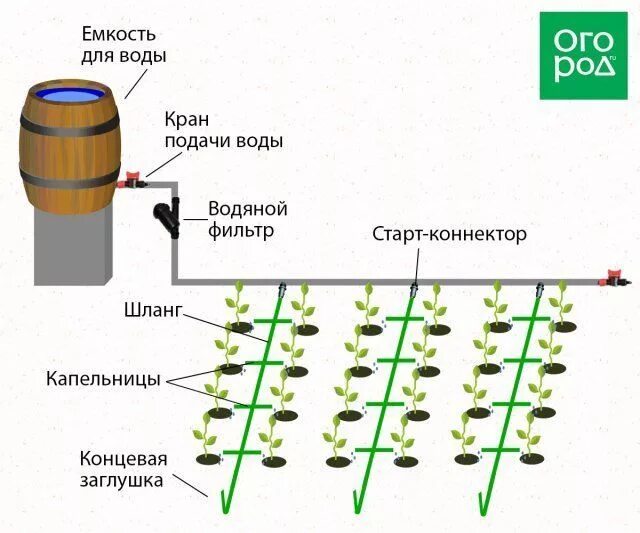 Капельный полив своими руками для дачи Несколько идей, как сделать капельный полив на даче своими руками Flora, Flora a