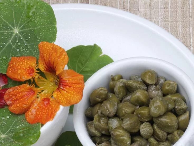 Каперсы что это такое фото цена Easy, Tangy Nasturtium Capers Recipe Fermentation recipes, Fermented foods, Cape