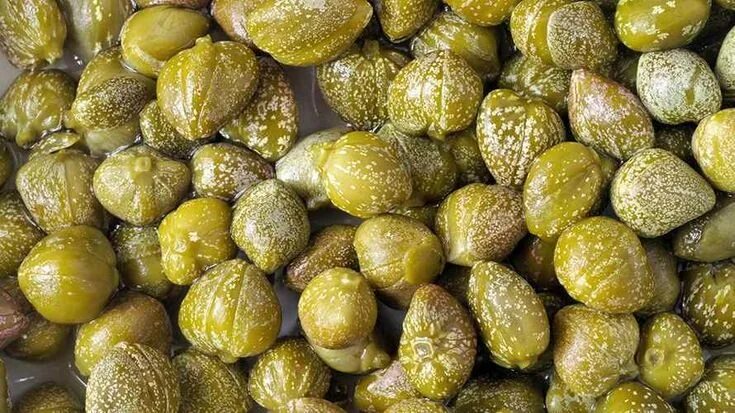 Каперсы что это такое фото вкус Capperi: proprietà, benefici, usi e controindicazioni. Scopri le proprietà dei c