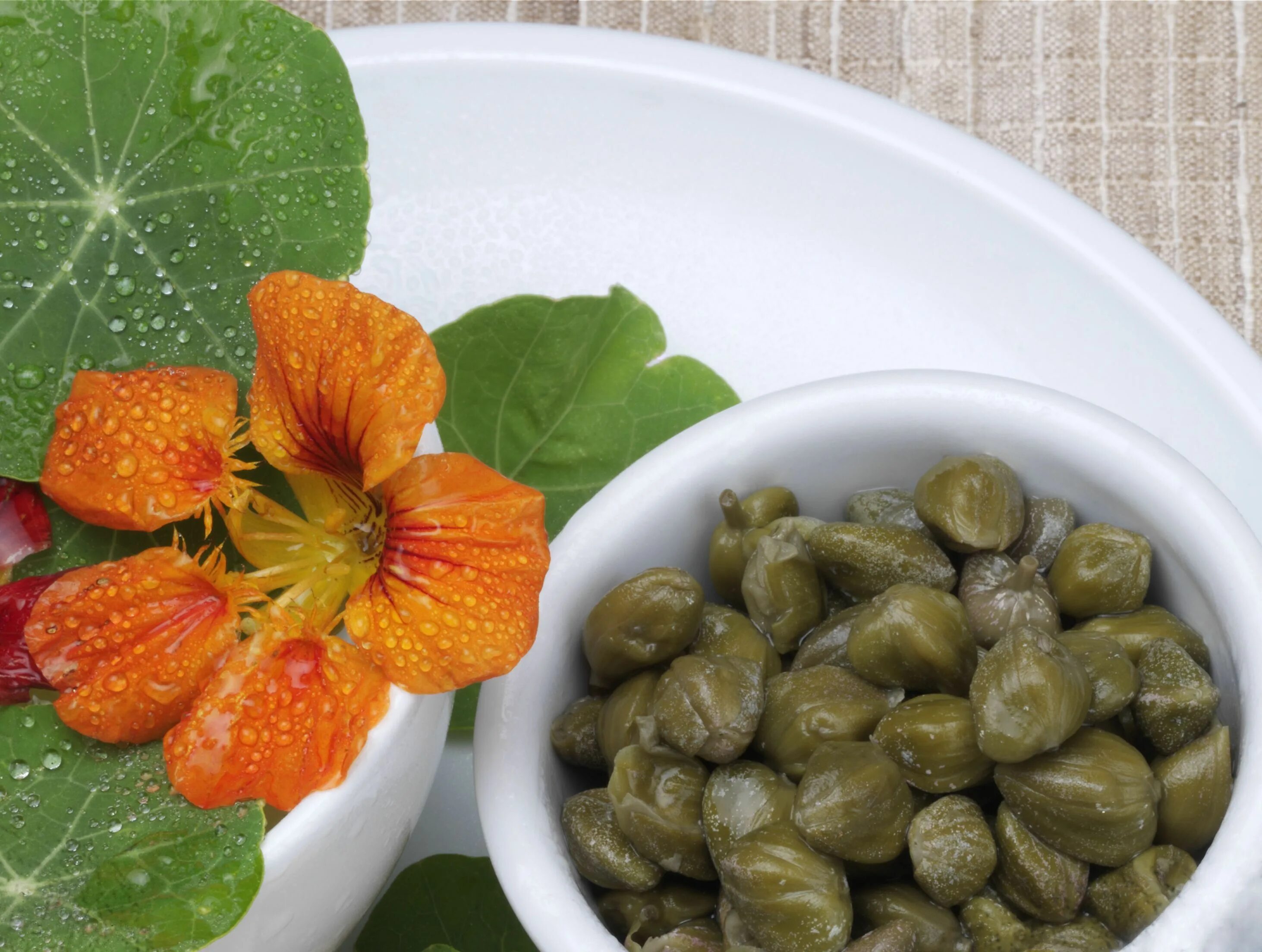 Каперсы цветок как выглядит Easy, Tangy Nasturtium Capers Recipe Fermentation recipes, Capers recipe, Fermen