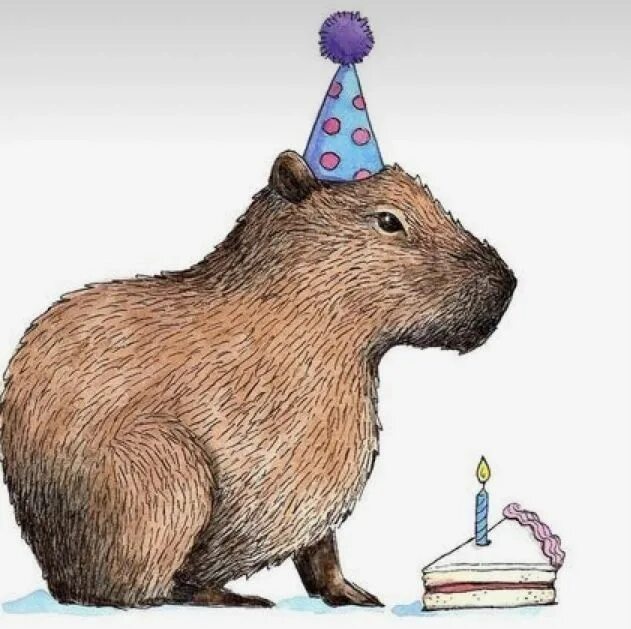Капибара фото день рождения Капибара Kawaii cat drawing, Cute drawings, Capybara