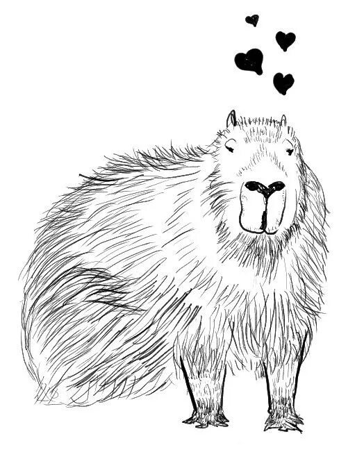 Капибара фото для срисовки Valentine Capybara by adoomer on deviantART Capybara, Animal art, Animals friend