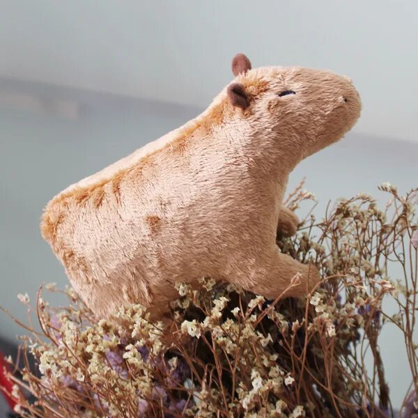Капибара фото игрушка мягкие игрушки, животное, Капибара / capybara - купить с доставкой по выгодным ц