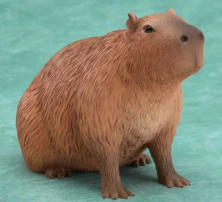 Капибара фото игрушка toy capybara in 2024 Capybara, Animals, Animal decor