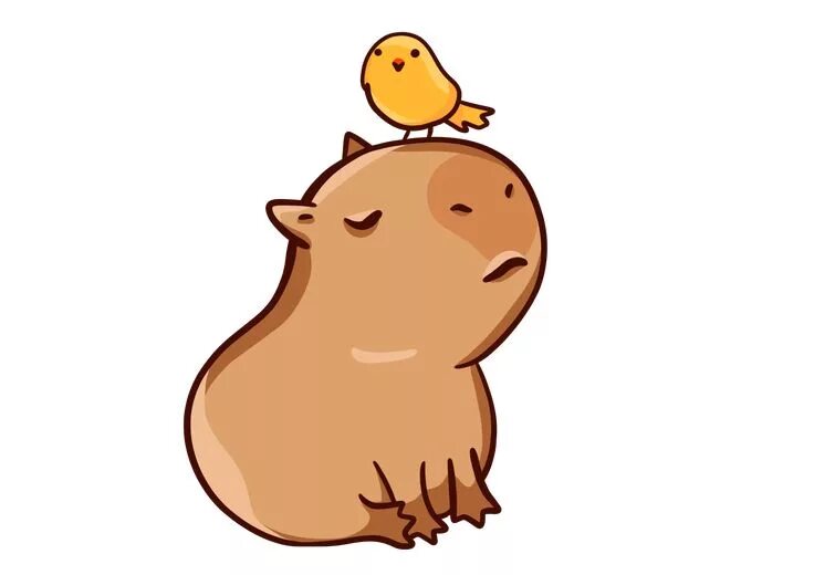 Капибара фото милое для срисовки Capybara with a yellow bird Sticker by manydoodles Capybara, Cute doodle art, Cu